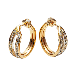 Earring