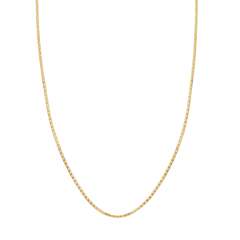 'The Golden Architect' Fine Box Chain