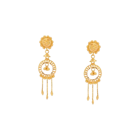 Golden Hooplet Charm Drop Earrings