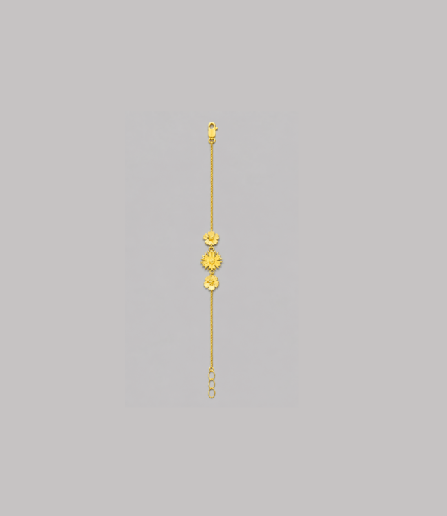 Ladies Bracelet Ladies Bracelet